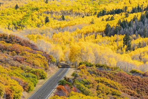 Kebler Pass, Colorado Blue Hour Photography, Beautiful Places In America, Gods Country, Colorado Living, Salt Ponds, Dry Tortugas National Park, Colorado Fall, Havasu Falls, Places In America