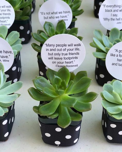 Jac o' lyn Murphy: It's black and white - Everyone loves Succulent Party Favors 90th Birthday Party Favors, Succulent Party, Succulent Party Favors, Friends Leave, Succulent Favors, Birthday Lunch, 90's Birthday Party, Black And White Ribbon, Irish Roots