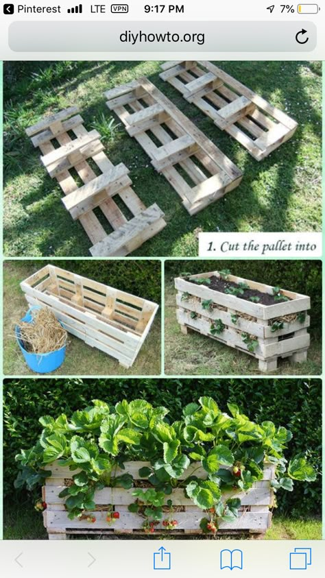 Palette Planter, Garden Pallet Decorations, Plantarea Legumelor, Diy Garden Landscaping, Tabletop Planter, Vertical Vegetable Garden, Strawberry Garden, Eclectic Aesthetic, Pallet Planter