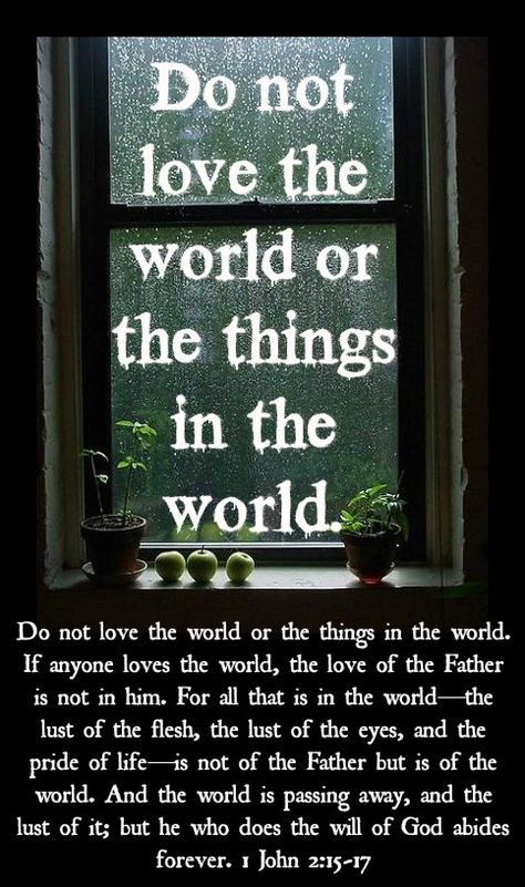 1 John 2:15-17 Love Endures All, Do Not Love The World, Jw Encouragement, Show Me A Sign, Love Endures, Love The World, 2 Kids, Follow Jesus, Bible Truth