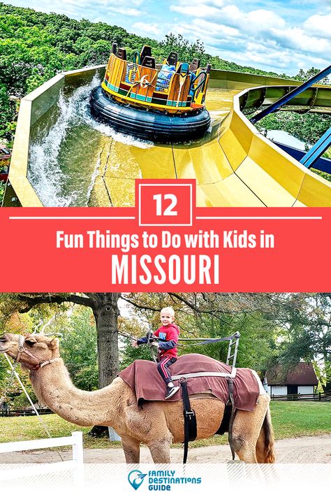 Dreaming about a family vacation to Missouri and looking for things to do? We’re FamilyDestinationsGuide, and we’re here to help: Discover the most fun things to do in Missouri with kids - so you get memories that last a lifetime! #missouri #missourithingstodo #missouriwithkids #missouriactivities What To Do In Missouri, Missouri Bucket List, Osage Beach Missouri Things To Do, Branson Missouri Vacation Kids, Things To Do In Branson Missouri, Branson Missouri Vacation Things To Do, Things To Do In Missouri, Camdenton Missouri, Travel Missouri