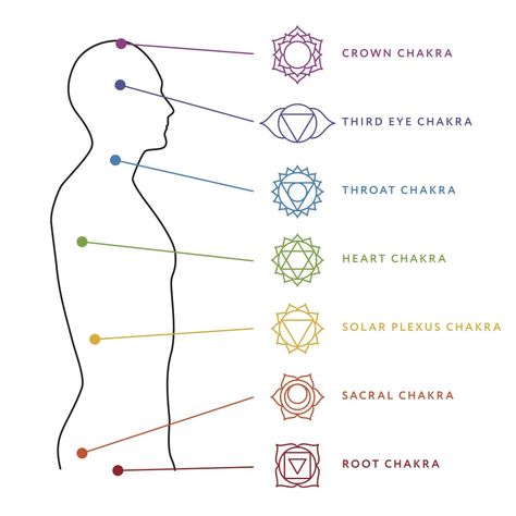 Hindu Symbols, Chakra Tattoo, Body Chart, Chakra Symbols, Chakra Colors, Geniale Tattoos, Human Body Systems, Chakra System, Chakra Healing Crystals