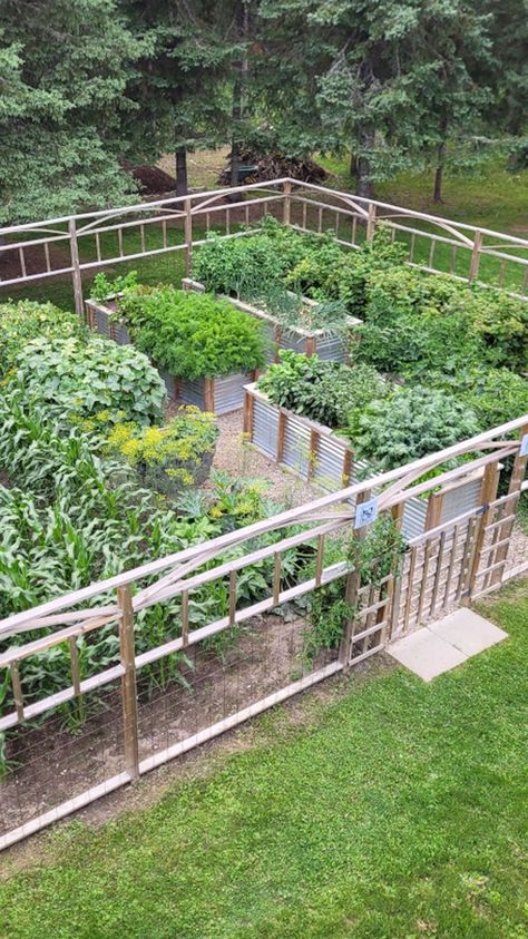 overhead view of finished vegetable garden High Fenced Garden, Raised Bed And In Ground Garden, Protected Garden Beds, Raised Garden Beds Fence, Multiple Raised Garden Beds Layout, Raised Perimeter Garden Beds, Long Lasting Raised Garden Beds, Iron Bed In Garden, Vegetable Garden Against House