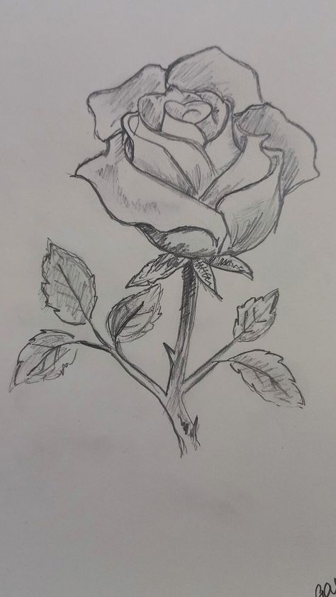 Cute Sketches Flowers, Things To Draw Cute Doodles, Flower Inspo Drawing, Cool Drawings Ideas Creativity Awesome, Self Care Drawings Easy, Hard Sketches Pencil, Boy Drawings Sketches, Cool Art Ideas Draw Sketches, Things To Draw In Pen