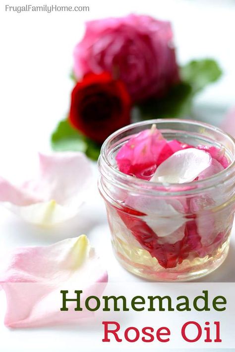 How to make homemade rose oil. This is an easy DIY recipe for making your own rose oil at home. It’s easier than you might think. Rose Oil Diy, Homemade Rose Water, How To Make Rose, Making Essential Oils, Oil Remedies, Diy Recipe, Diy Oils, Rose Essential Oil, Homemade Bath Products