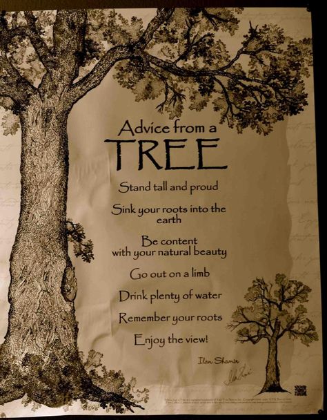 Advice From A Tree, Tree Quotes, Studio Pilates, Enjoy The Ride, Pilates Studio, Pilates Reformer, Tree Stand, Nature Quotes, Trx