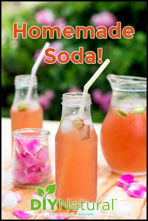 Homemade Soda Syrup, Sodastream Syrup, Soda Stream Recipes, Diy Soda, Soda Alternatives, Soda Syrup, Healthy Soda, Alternative Sweeteners, Soda Flavors