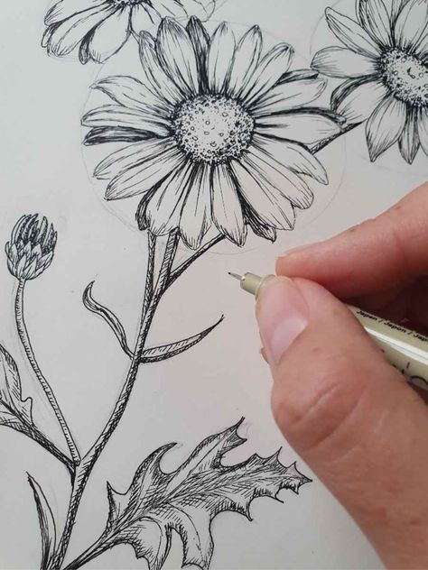 How to do a Daisy Flower Drawing: Step-By-Step - Artsydee | Drawing, Painting, Craft & Creativity Daisy Flower Drawing, Daisy Drawing, Flower Bouquet Drawing, A Daisy Flower, Easy Flower Drawings, Flower Step By Step, Gerbera Flower, Bird Watercolor Paintings, Daisy Art