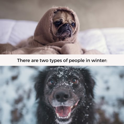 #funny #humour #winter #businessmentor.gr Winter Memes Humor, December Memes Funny, So Cold Humor, Australia Meme, Cold Humor, Winter Meme, Cold Images, Winter Humor, Snow Humor