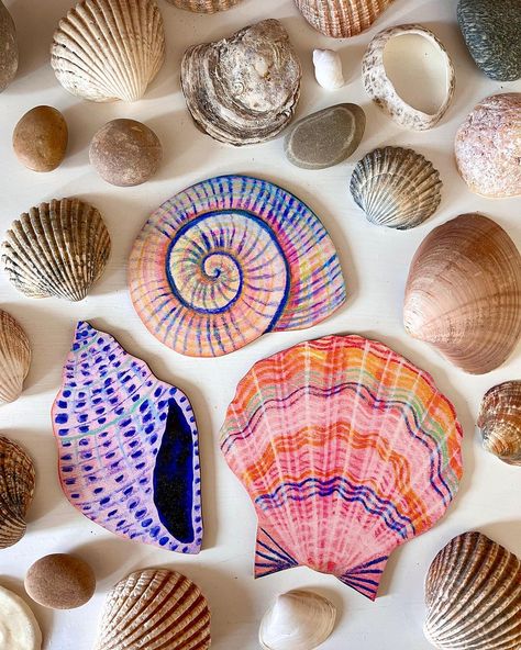 Lee Foster-Wilson : Bonbi Forest | My wooden shells and fish are here and I looove them! I’m so pleased with how they came out and they will be swimming (or floating…how do… | Instagram Decor Marin, Shell Wall Art, Cornish Beaches, Marine Decor, Seashell Wall Art, Wall Art Bathroom, Shell Decorations, Unique Birthday Cards, Working Drawing