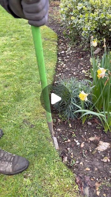 233K views · 10K likes | Alexander’s gardening on Instagram: "Come & edge up and tidy a front garden bed with me 🙂✂️🌱   - - - #gardening #gardeninglife #edges #lawnedging #satisfyingvideos #satisfying #gardenmaintenance #gardeningbusiness #gardenservices #mywork #lovemyjob #calming #Therapeutic #gardener #gardenerslife #lifeofagardener #instagarden #transformation #instagardener #professional #plants #nature #reelsinstagram #reels #gardeninguk #gardenerlife #instagardeners #gardeningtips #creative #gardeningideas" Lawn Design Ideas, Front Garden Bed, Modern Lawn, Garden Lawn Edging, Garden Edger, Garden Edging Ideas, Garden Hedges, Shade Garden Plants, Front Garden Landscape