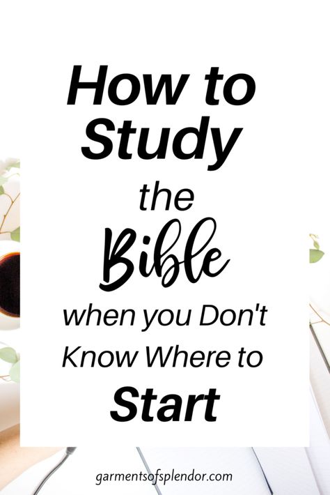 How to Study the Bible for Beginners: The Ultimate Guide - Study The Bible For Beginners, Ways To Study The Bible, Bible For Beginners, Ways To Study, Studying The Bible, Bible Studies For Beginners, Study Books, Learn The Bible, Christian Homemaking