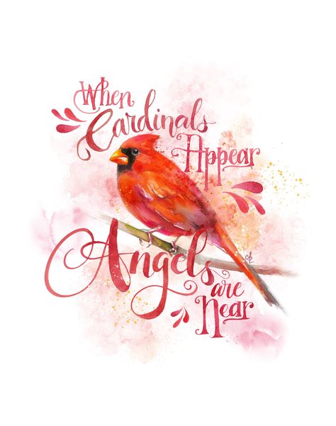 "In times of sadness, this quote often brings peace: \"When Cardinals Appear, Angels are Near\" I've hand-lettered the words in watercolour and added them to my delicate cardinal watercolour print. Would you prefer to download and print this yourself? Here is my listing for the Printable version, which includes the print without the quote, and 2 5x7 greeting card layouts: https://www.etsy.com/ca/listing/950389154 PROMOTIONS: Buy 2, Get 1 ~ purchase any 2 prints, receive a third print of equal or Cardinal Birds Art, Cardinal Watercolor, Cardinal Print, Cardinal Memorial, Cardinal Painting, Cardinal Birds, Red Bird, Quote Wall Art, Quote Wall