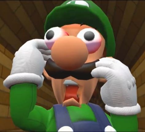 Discord Face Reveal, Luigi Pfp, Brain Bleach, Super Mario Luigi, Mario Funny, Mario Video Game, Mario Memes, Mario Y Luigi, Super Mario And Luigi