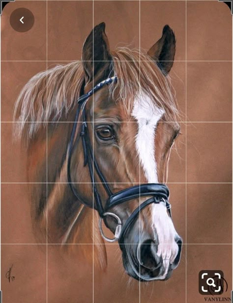 Horse Painting On Canvas Easy Step By Step, Horse Art Drawing, Dog Portraits Art, Abstract Pencil Drawings, Scratchboard Art, Mask Painting, Horse Art Print, Diy Abstract Canvas Art, Horse Coloring Pages