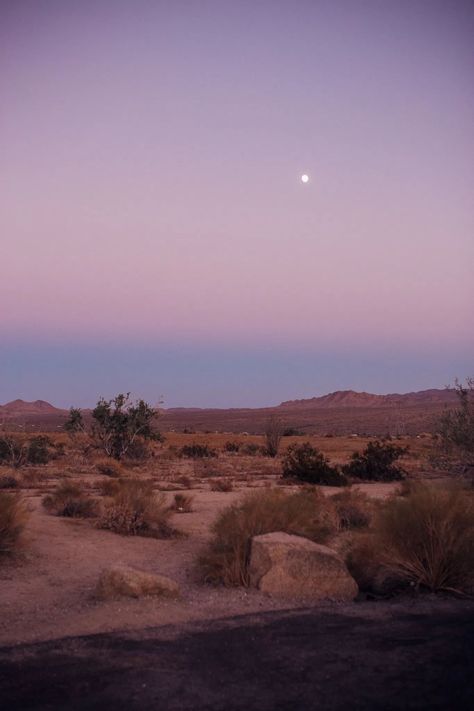 Sharing honest reflections of a weekend in Palm Springs in my Palm Springs travel guide 🌴 My Palm Springs travel diary features everything I loved and didn’t love about my trip to the California desert. Joshua Tree National Park is my favorite part of the area—so worth the drive to Twentynine Palms California for this breathtaking Joshua Tree photoshoot. #joshuatree #palmsprings Palm Springs Mountains, Palm Springs Desert Aesthetic, Palm Springs Scenery, California Joshua Tree, Palm Trees Desert, Palm Springs Picture Ideas, Palm Springs Trip, California Desert Aesthetic, Joshua Tree Wallpaper