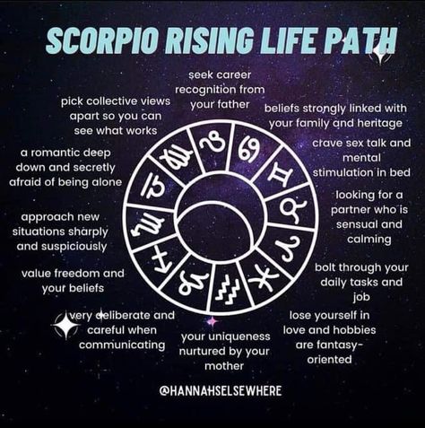 Mental Projector, Virgo Ascendant, Leo Sun Scorpio Moon, Virgo Rising, Ascendant Sign, Scorpio Rising, Astrology Meaning, Zodiac Love Compatibility, Astrology Stars