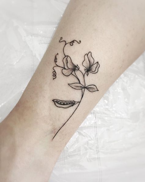 Sweet Pea Pod Tattoo, Snap Pea Tattoo, Pea Tattoo Pod, Pea Pod Tattoo, Peas Tattoo, Peas In A Pod Tattoo, Sweetpea Tattoo, Sweetpea Flower Tattoo, Pea Tattoo