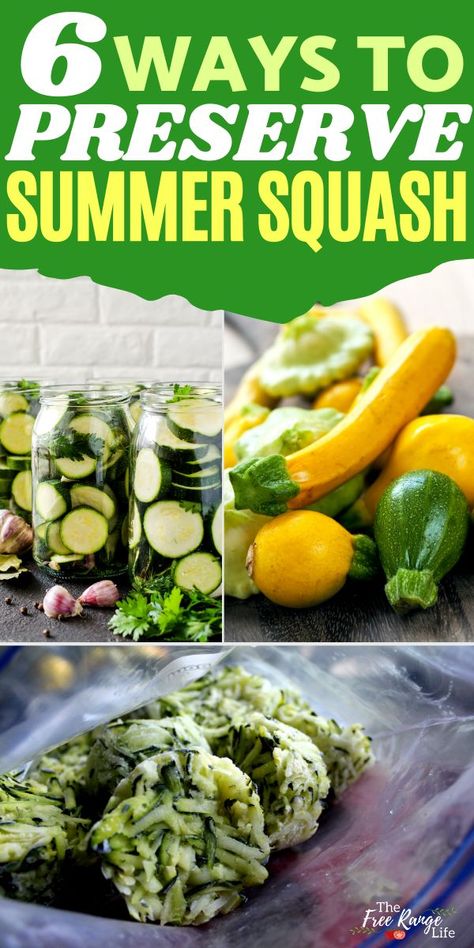 Summer Squash Storage, Squash Storage Ideas, Preserve Garden Vegetables, Can You Can Squash, Canned Summer Squash Recipes, Storing Veggies From Garden, How To Preserve Summer Squash, Can You Can Zucchini, How To Preserve Garden Vegetables