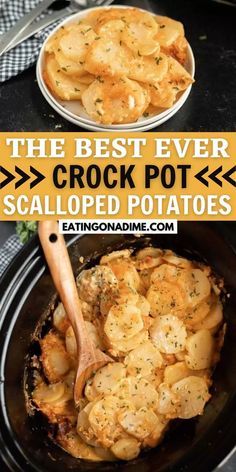 Crock Pot Potato, Cheesy Potatoes Crock Pot, Potato Recipes Crockpot, Scalloped Potatoes Crockpot, Slow Cooker Scalloped Potatoes, Potatoes Healthy, Favorite Casserole Recipes, Scalloped Potatoes Cheesy, Easy Potato Recipes