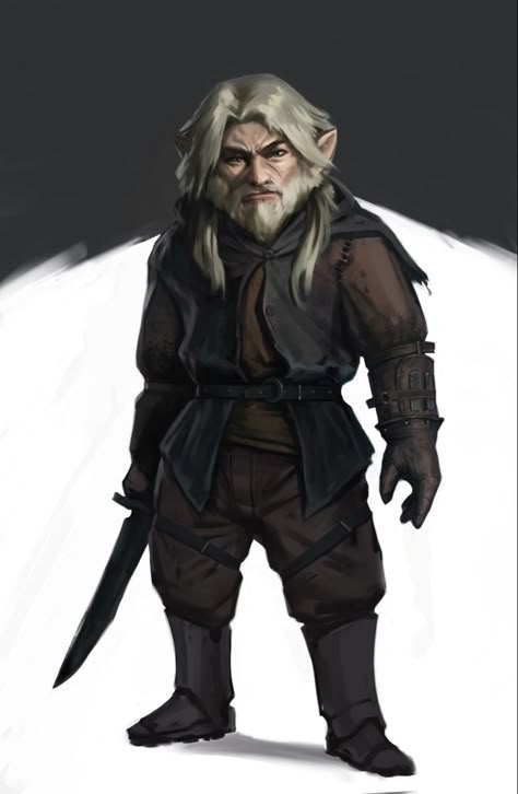 Dnd Halfling, Gnome Dnd, Halfling Rogue, Rogue Dnd, Rogue Character, Arcane Trickster, Pathfinder Character, Dungeons And Dragons Characters, Dnd Art