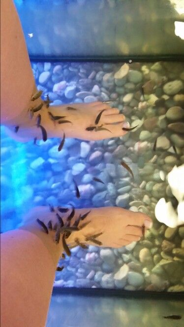 Fish pedicure in Spain Fish Pedicure, Spain, Fish, Quick Saves