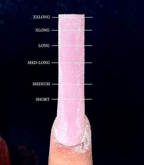 Nail Chart Length, Nail Shape Chart, Nail Designs Simple, Engagement Nails, Business Nails, Acrylic Nails At Home, Home Nail Salon, Nail Drawing, Long Acrylic Nail Designs