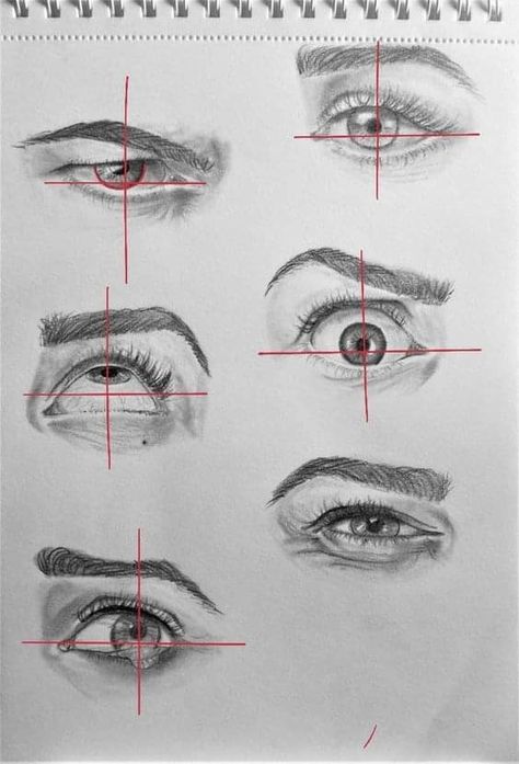 Eye Drawing Study, Eyes Sketch Reference, Eye Looking Down, How To Draw Faces From Different Angles, Eye Practice Drawing, Eyes Looking Up Drawing, Face Anatomy Reference, Faces Proportions, Eyes Sketch Tutorial