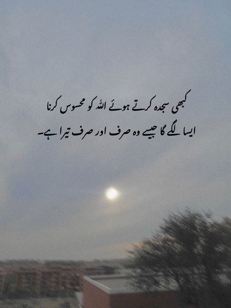 Good Night Everybody, Motivational Quotes In Urdu, Love Romantic Poetry, Fantasy Quotes, Urdu Love Words, Best Friend Quotes Funny, Poetry Quotes In Urdu, Urdu Thoughts, Best Urdu Poetry Images