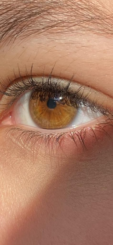 Cognac Eyes Color, Hazel Amber Eyes, Pale Brown Eyes, Cognac Brown Eyes, Hazel Eyes Women, Golden Amber Eyes, Hazel Brown Eyes Aesthetic, Brown Eyes Aesthetic Girl, Honey Eyes Aesthetic