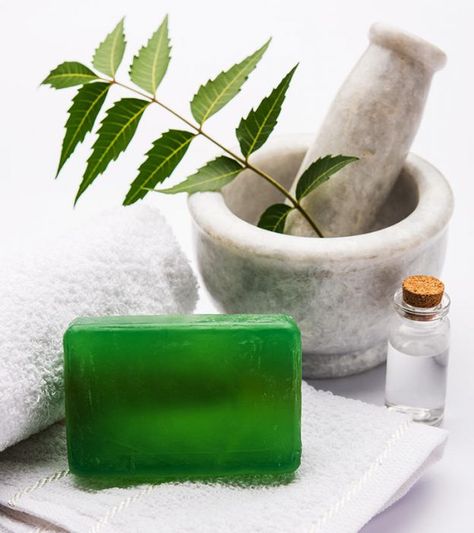 10 Best Neem Soap Brands to Look Out for in 2019 Soap Photography Products, Ayurvedic Soap, Soap Images, Soap Photography, Neem Soap, Green Soap, Beauty Products Photography, Luxury Soap, Organic Soap