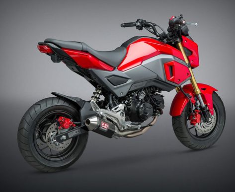 Honda Grom MSX 125 AKA Honda Grom Custom, Grom Bike, Grom Motorcycle, Honda Msx 125, Best Motorbike, Honda Grom, Stunt Bike, Motos Honda, Motorbike Design