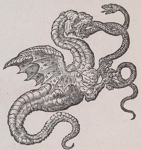 Explore griffinlb's photos on Flickr. griffinlb has uploaded 2195 photos to Flickr. Medieval Tattoo, Medieval Drawings, Medieval Dragon, Mythical Monsters, Occult Art, Mythological Creatures, Medieval Art, Dragon Art, Art Plastique