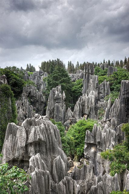 Stone Forest, Kunming, China Stone Forest, Visit China, Kunming, 16 Bit, Beautiful Dream, China Travel, The Landscape, Asia Travel, Good Job