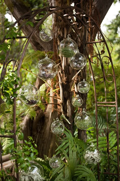 Copper arch with air fern bobbles .. Love this, it makes for such a beautiful backdrop. Wedding Arch Indoor, Suspended Flowers, Labyrinth Wedding, Fern Gully, Midsummer Nights Dream Wedding, Wedding Themes Summer, Botanical Garden Wedding, Botanical Gardens Wedding, Indoor Window