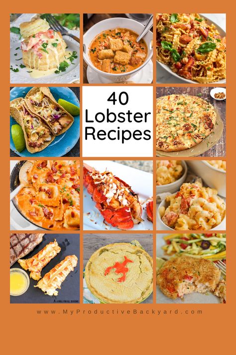 Grilled Lobster Recipes, Cook Lobster, Bisque Soup Recipes, Lobster Bisque Soup, Seafood Dish Recipes, Lobster Dishes, Lobster Recipes Tail, Grilled Lobster, Delicious Seafood Recipes