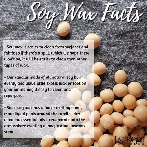 Fax about Soy Wax Princess Candles, Soy Candle Benefits, Soy Candle Facts, Candle Facts, Diy Booth, Country Scents Candles, Candle Tutorial, Homemade Scented Candles, Soya Mumu