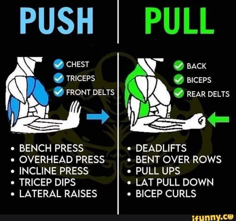 Push Day Muscle Groups, Dumbell Pull Day Workout, Push Pull Day Workout, Push Pull Upper Body Workout, Dumbell Pull Workout, Push Vs Pull Day, Push Vs Pull Workout, Push Pull Workout Routine Women, Push And Pull Workouts