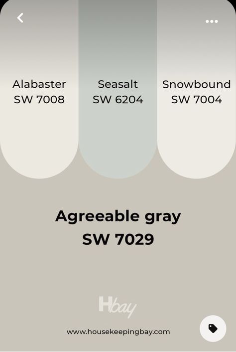 Alabaster Vs Agreeable Grey, Agreeable Gray Vs Alabaster, Alabaster And Agreeable Gray, Agreeable Grey, Sherwin Williams Paint Neutral, Guest Bedroom Colors, Agreeable Gray Sherwin Williams, Color Consultation, Farmhouse Renovation