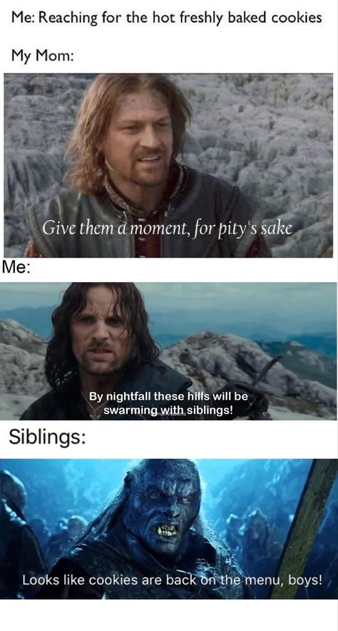 Hobbit Funny, Earth Memes, Lotr Funny, Movie Memes, Legolas, Film Serie, Book Fandoms, Middle Earth, The Rings