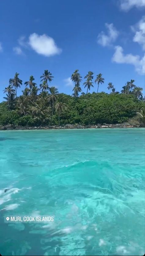 Clear water beach cook islands palm trees white sand blue cyan swim calm aesthetic Cook Island Aesthetic, Cook Islands Aesthetic, Cook Aesthetic, Islands Aesthetic, Clear Water Beach, Cook Island, Calm Aesthetic, Summer Trip, Island Living