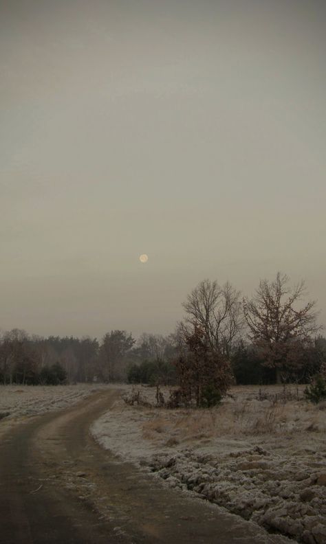 Winter.Photography by Renata Piskorska Fall Pictures Nature, Best Landscape Photography, Picture Nature, Best Landscape, Pretty Phone Wallpaper, Morning Sky, Winter Nature, Winter Scenery, Indie Aesthetic