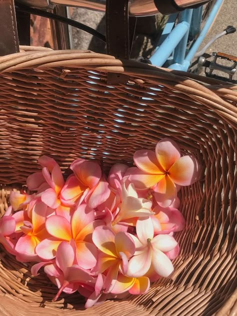 Plumeria Aesthetic, Nothing But Flowers, Flower Therapy, Pink Summer, Summer Pictures, Exotic Flowers, Hibiscus Flowers, Tropical Flowers, Summer Flowers