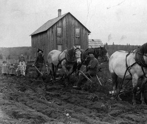 Jake Surber and family :: Clark County Historical Museum Photograph Collection Alaska Fairbanks, Hudson Bay Company, Old Post Office, Vancouver Washington, Historical Museum, Clark County, Hudson Bay, New South Wales, Washington State