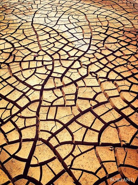 A cracked desert floor shows a great texture for landscape photography Desert Photoshoot Ideas, Photography Elements, Winter Landscape Photography, Leaf Vector, Pattern Photography, Landscape Photography Tips, Texture Inspiration, Texture Photography, Landscape Photography Nature