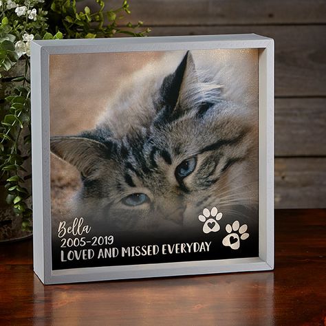 Pet Photo Memorial Personalized 10x10 Grey LED Shadow Box Dark Gradient, Dog Shadow Box, Cat Shadow, Pet Memorial Stones, Pet Keepsake, Pet Remembrance, Shadow Box Art, Pet Memorial Gifts, Pet Photo