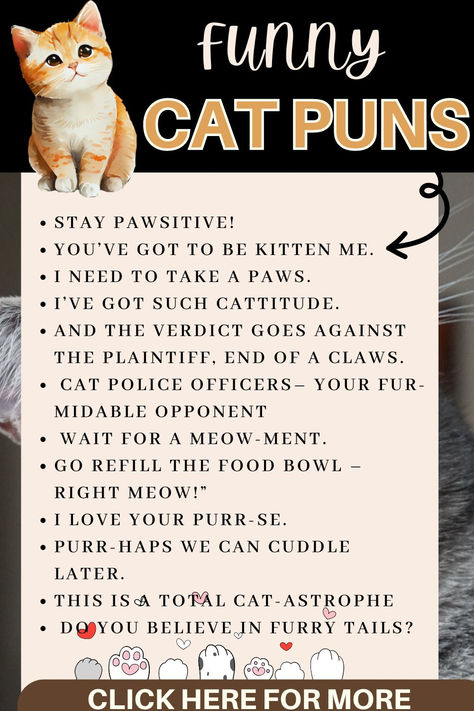 Looking for a good laugh? Explore our collection of hilarious cat puns and jokes! From cheesy one-liners to clever quips, we've got it all Pun Jokes, Fish Puns, Funny Cat Jokes, Stay Pawsitive, Funny One Liners, Santa Claws, Cat Puns, Cat Jokes, Cat Call