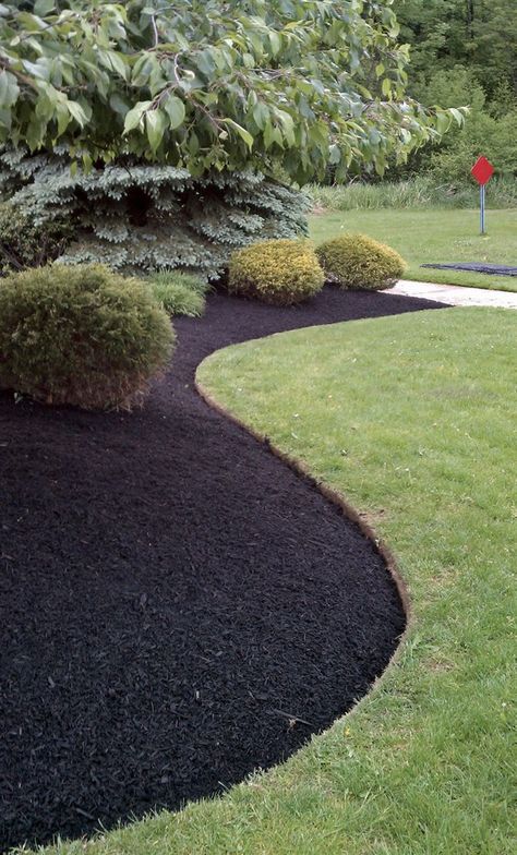 Black Mulch Landscaping, Landscape Edging Stone, Inexpensive Landscaping, Landscape Ideas Front Yard Curb Appeal, Mulch Landscaping, Front Landscaping, Landscape Edging, Lawn Edging, Contemporary Garden