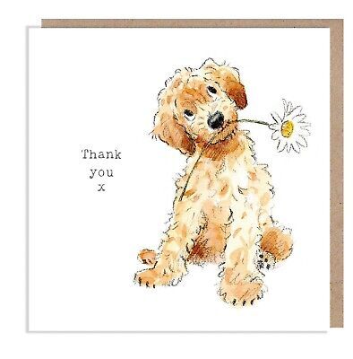 Cockapoo Illustration, Cockapoo Art, Dog Illust, Labradoodle Drawing, Watercolour Dogs, Poodle Drawing, Dog Watercolor Painting, Dog Birthday Card, Dog Watercolor