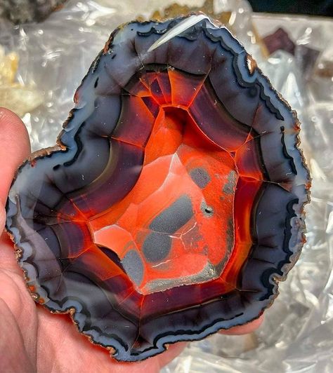 One of the best I've ever seen! Absolutely eye popping cabinet sized highly UV reactive blue Red Fox Agate from Patagonia. Follow for more… Types Of Agate, Eye Gems, Stone World, Geode Art, Pretty Rocks, Cool Rocks, Uv Reactive, Crystal Healing Stones, Sticks And Stones